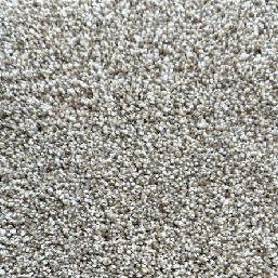 Carpet | AC Carpet Plus